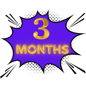 3 months subscription