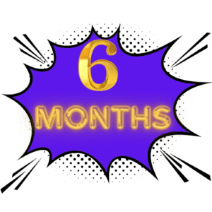 6 months subscription